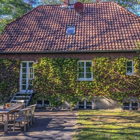 Forsthaus - Gut Thansen Soderstorf Ngoại thất bức ảnh